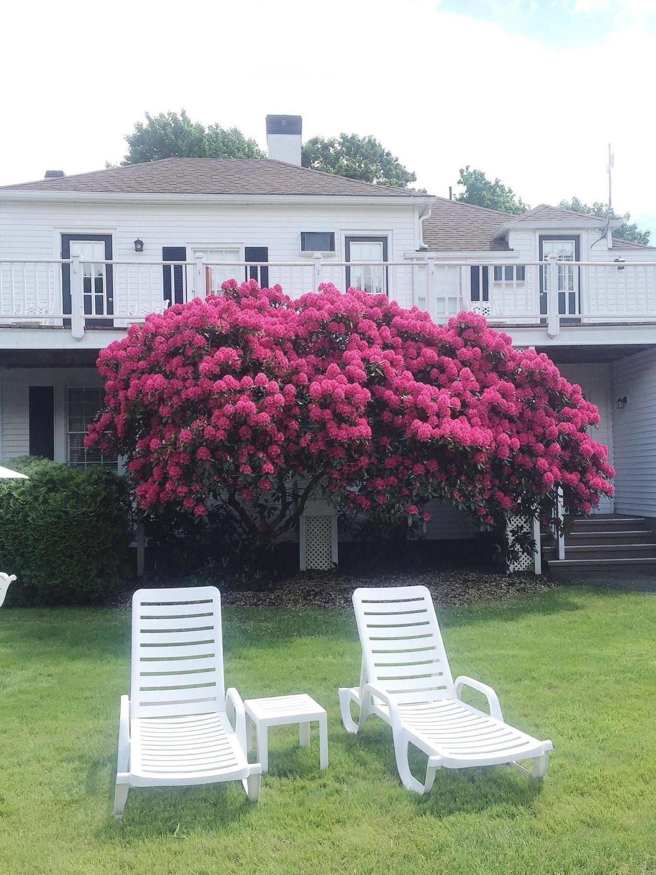 Shoreway Acres Inn ファルマス エクステリア 写真